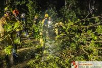 _2026-06-02 Baum über Straße B141 Pramwald-1609